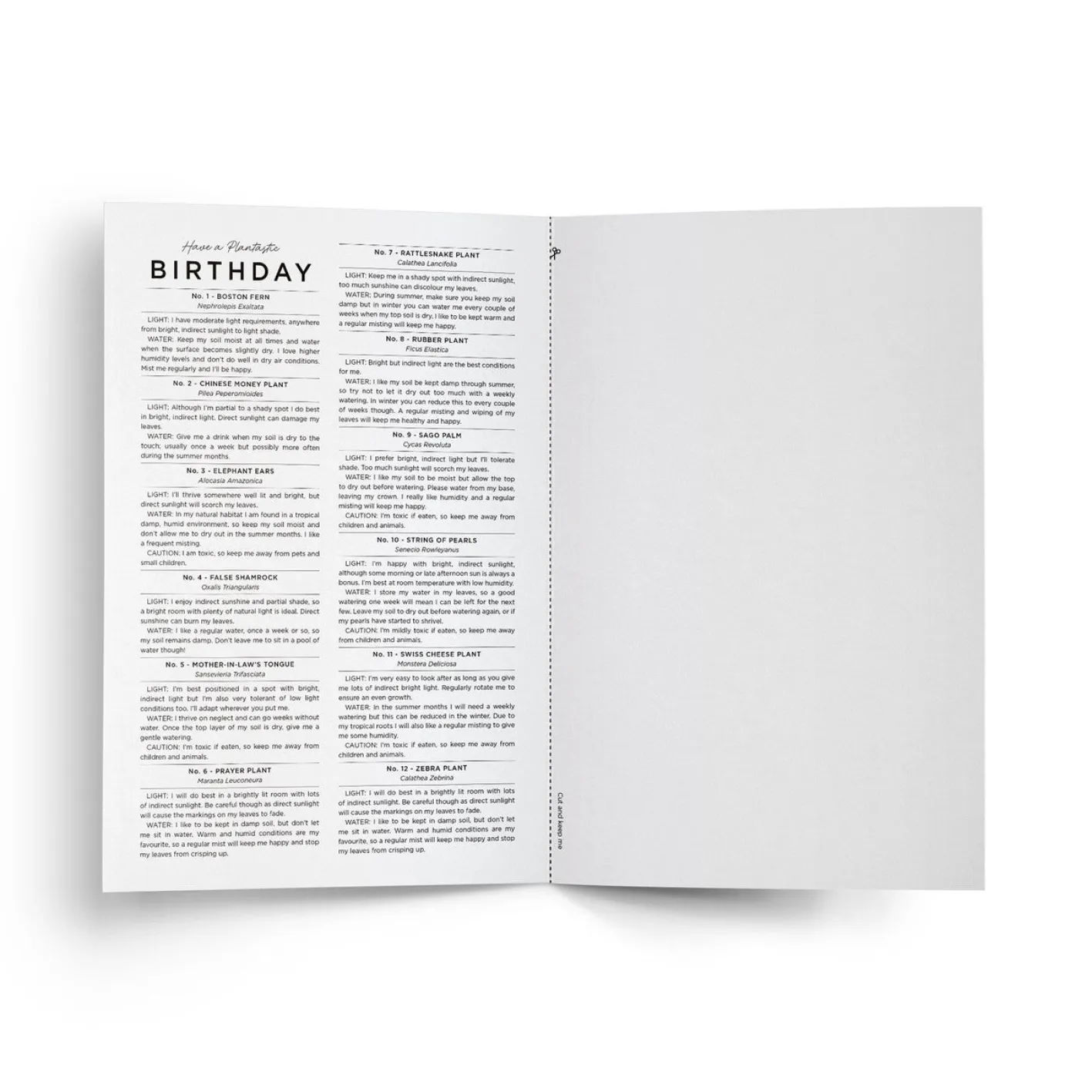 Everlong Print Co. Have a Plantastic Birthday Card