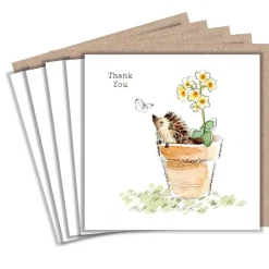 Paper Shed Design Hedgehog in a Flower Pot "Thank You" Set of 5 Notecards