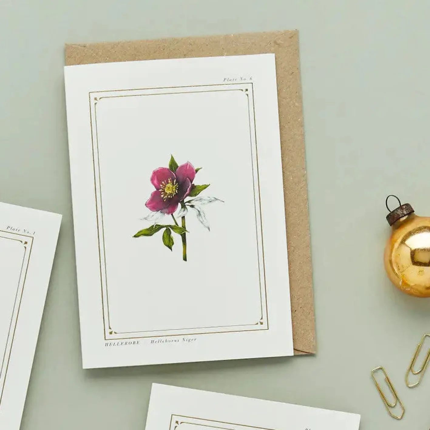 Catherine Lewis Hellebore - 'Botanical Archive: Festive Edition' - card