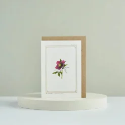 Catherine Lewis Hellebore - 'Botanical Archive: Festive Edition' - card
