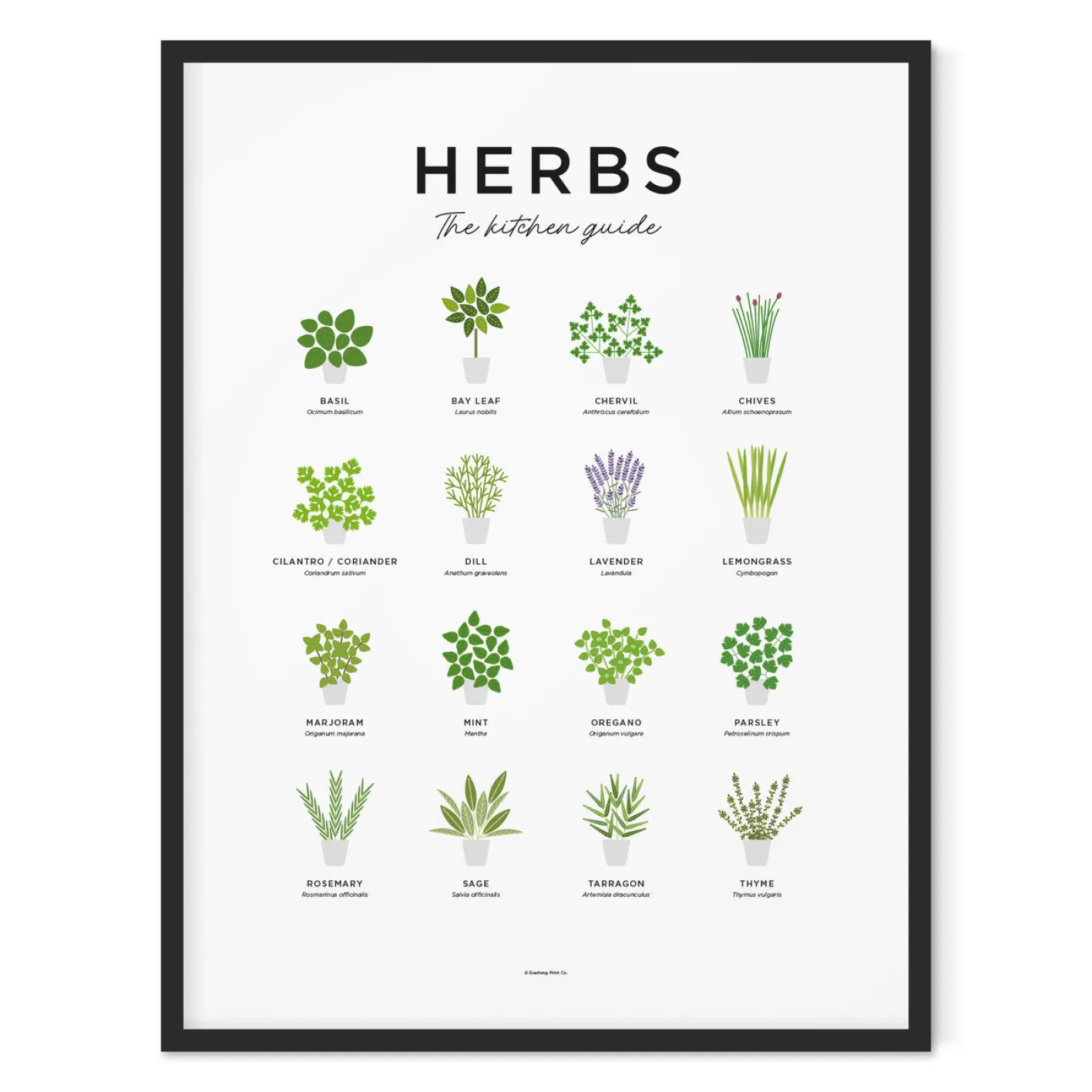 Everlong Print Co. Herbs Guide Print - Framed
