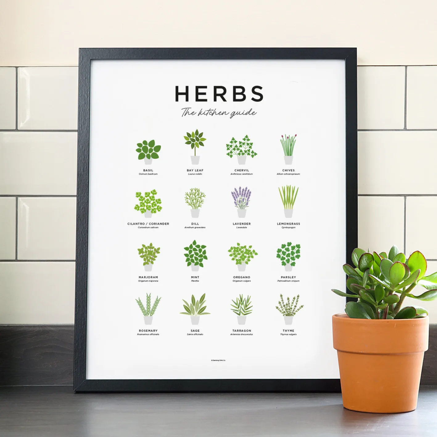 Everlong Print Co. Herbs Guide Print - Framed