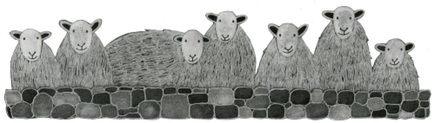 Moorland Pottery Herdwick Sheep Mug by
