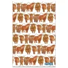 Emma Ball Highland Coos Repeat Tea Towel