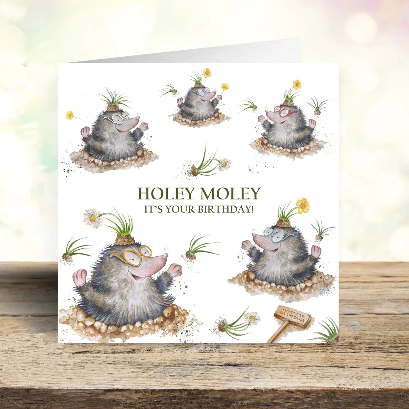 West Country Designs 'Holey Moley' Cheeky Mole Birthday Card