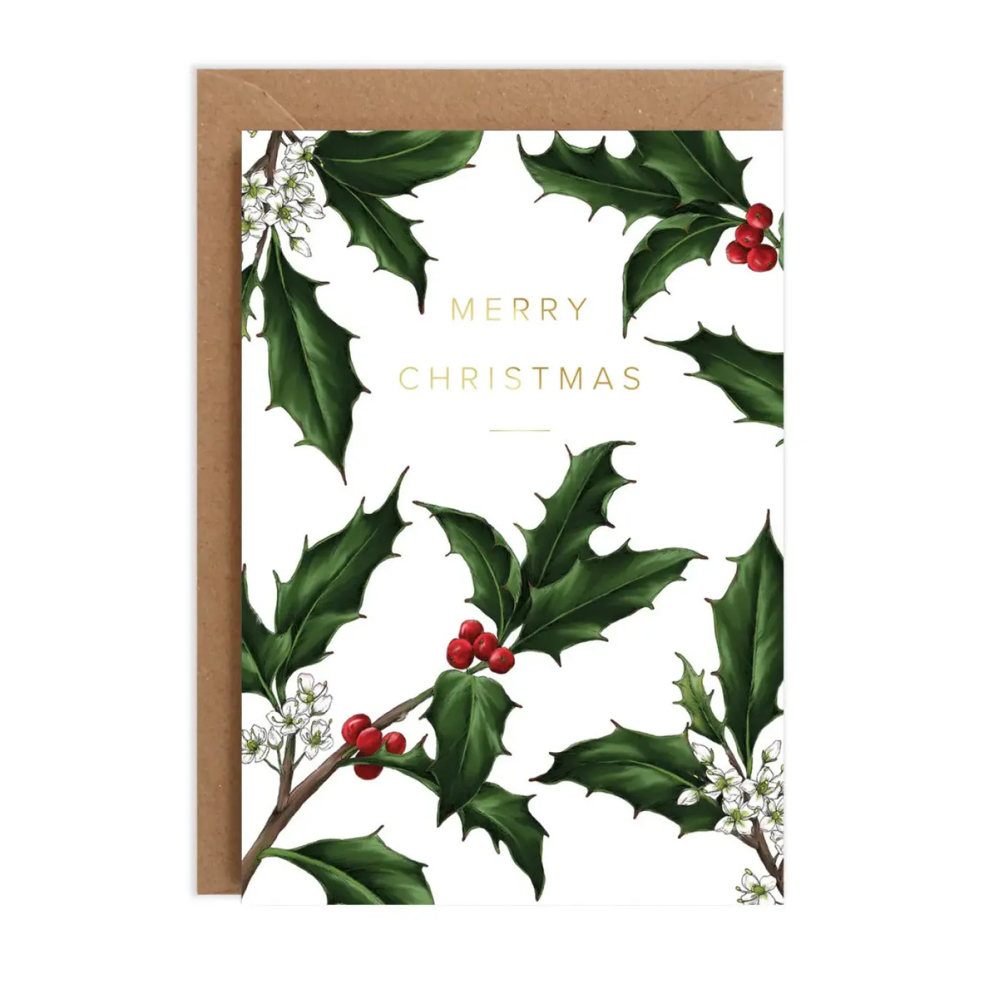 Catherine Lewis Holly Border - White - Christmas Card