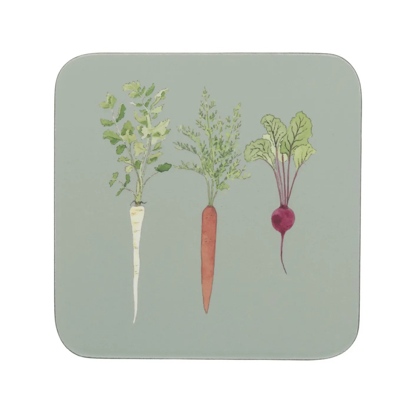Sophie Allport Home Grown Coasters- Set of 4