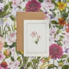 Catherine Lewis Honeysuckle - 'Botanical Archive: Everyday Edition' - card