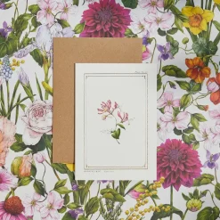 Catherine Lewis Honeysuckle - 'Botanical Archive: Everyday Edition' - card