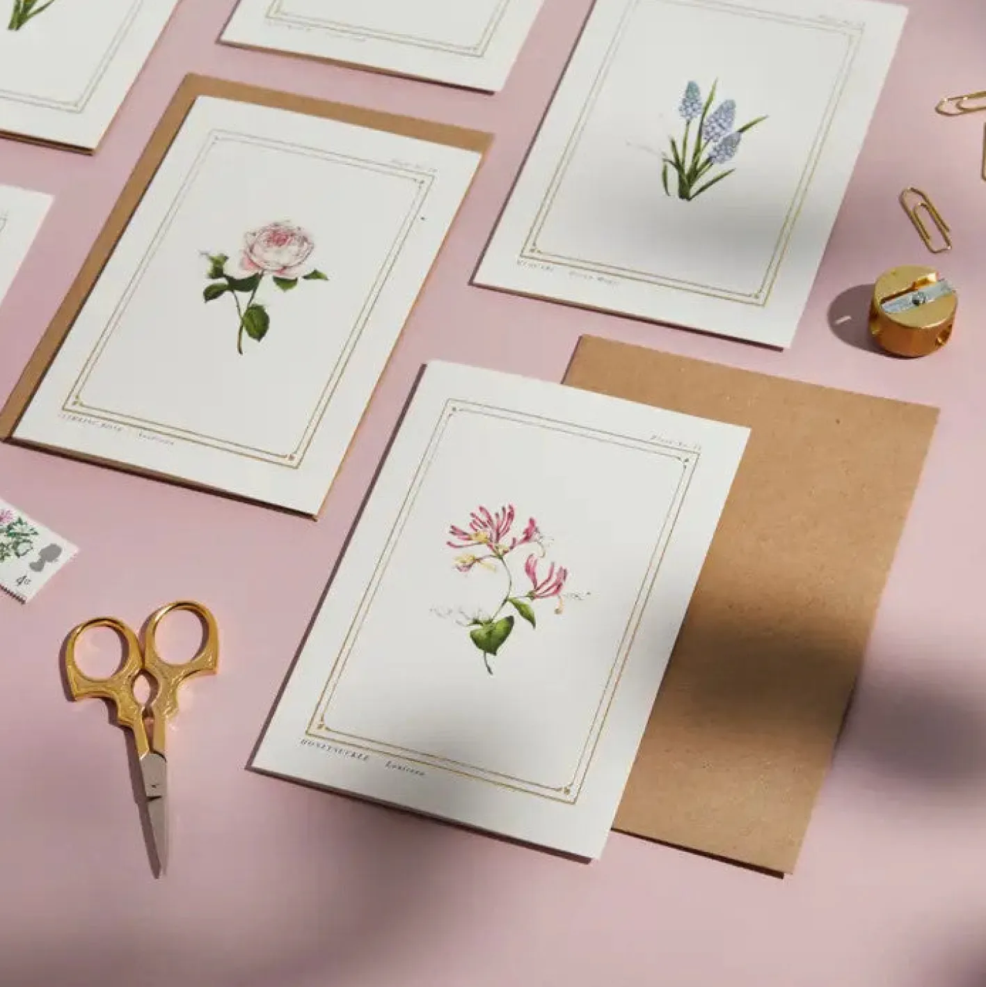 Catherine Lewis Honeysuckle - 'Botanical Archive: Everyday Edition' - card