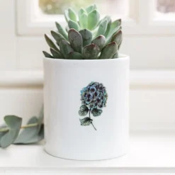 Toasted Crumpet Hydrangea Bone China Pot