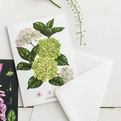 Catherine Lewis Hydrangea - card