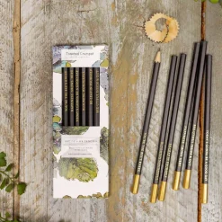 Toasted Crumpet Hydrangea Set of 6 Pencils