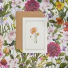 Catherine Lewis Icelandic Poppy - 'Botanical Archive: Everyday Edition' - card