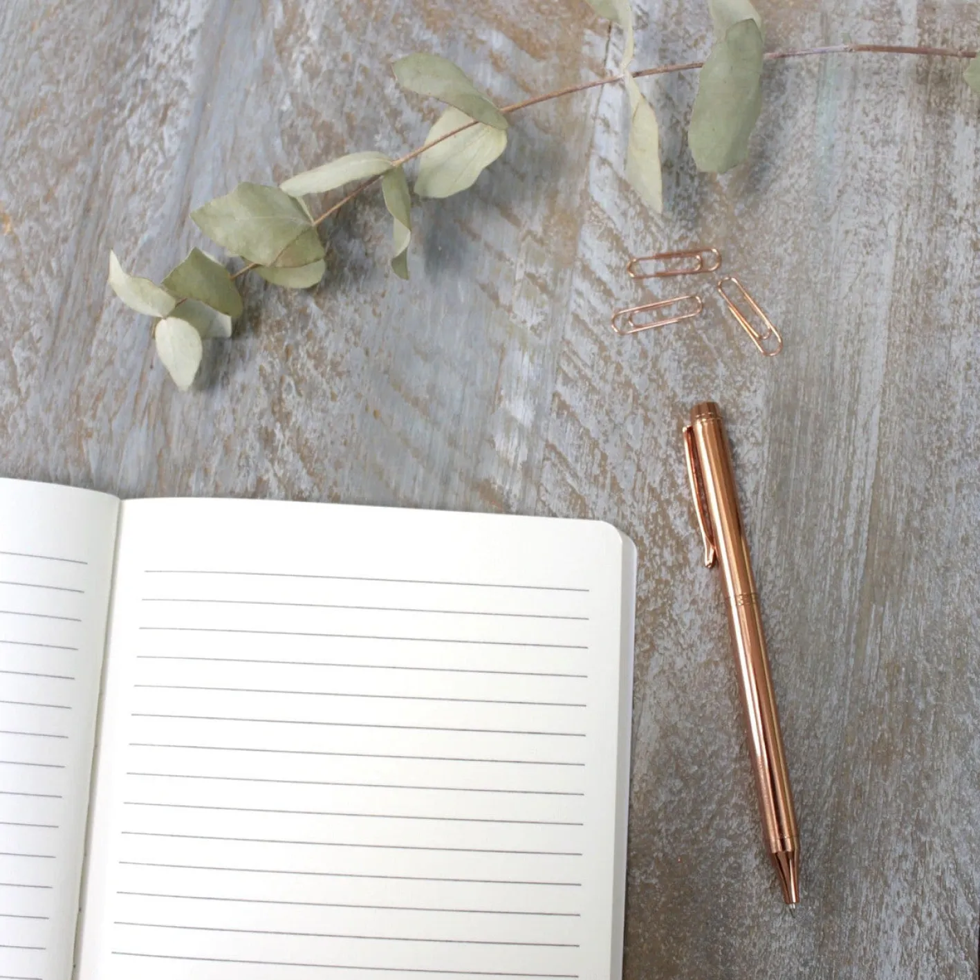 Toasted Crumpet Inky Shells Pure A5 Lined Notebook