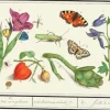 Madame Treacle In the Garden - Little Vintage Greeting Card