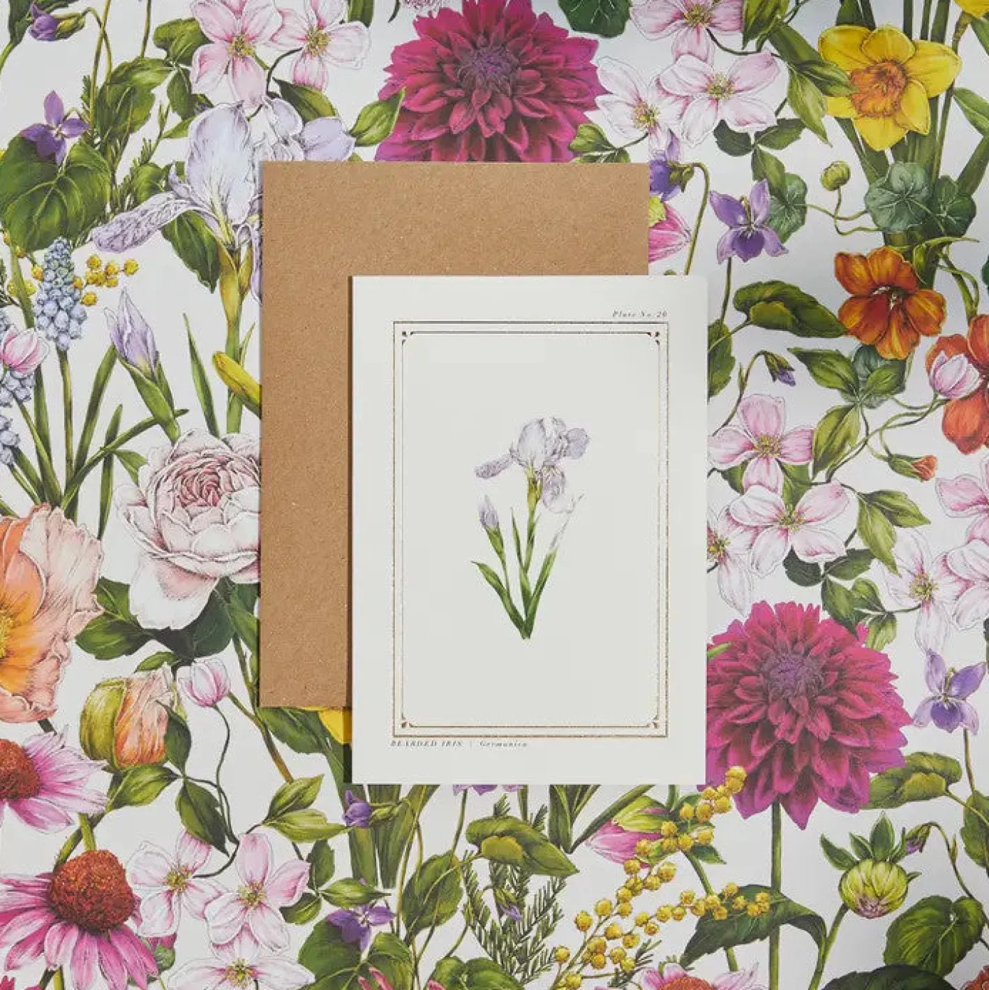 Catherine Lewis Iris - 'Botanical Archive: Everyday Edition' - card