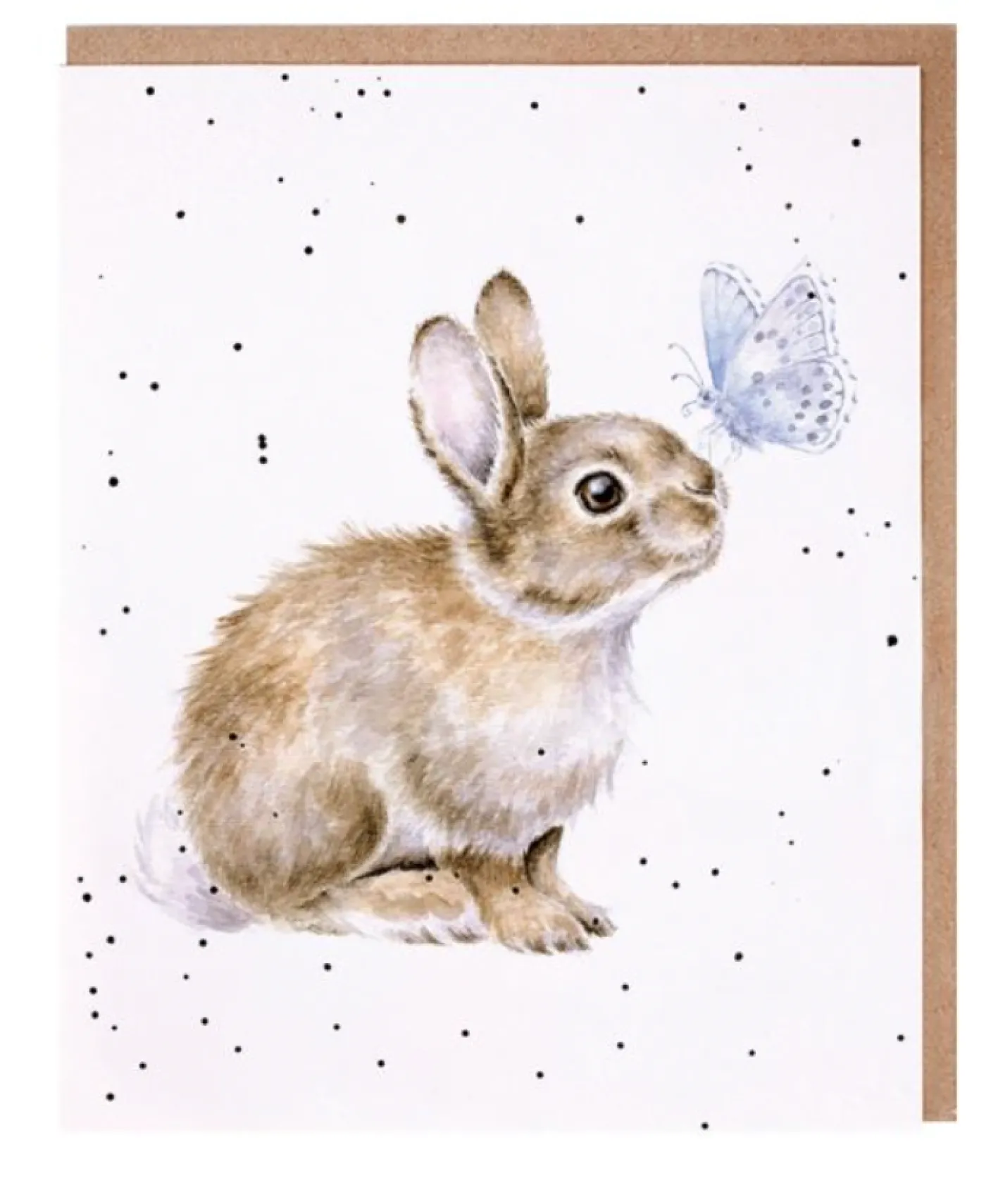 Wrendale Designs 'I Spy a Butterfly' Bunny Birthday Greetings Card