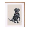 Wrendale Designs 'Jack' Black Labrador Greetings Card