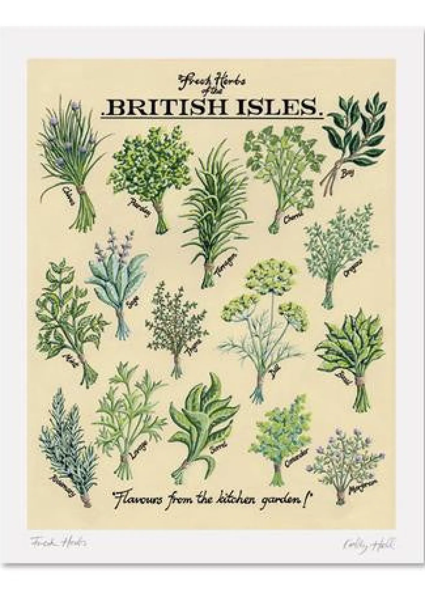 Kelly Hall Designs Kelly Hall Fresh Herbs Print