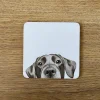 Katherine Sheard Designs Lenny Labrador Coaster