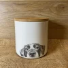 Katherine Sheard Designs Lenny the Labrador Fine Bone China Storage Jar
