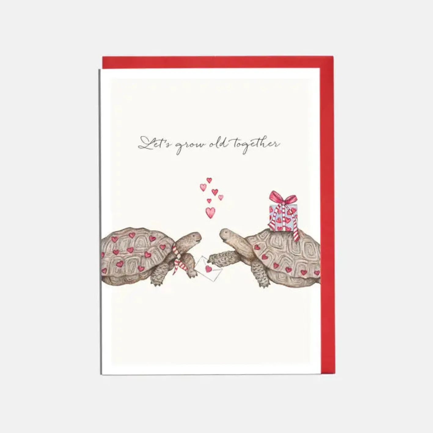 Lottie Murphy 'Let's Grow Old Together' Tortoise Valentine's Card