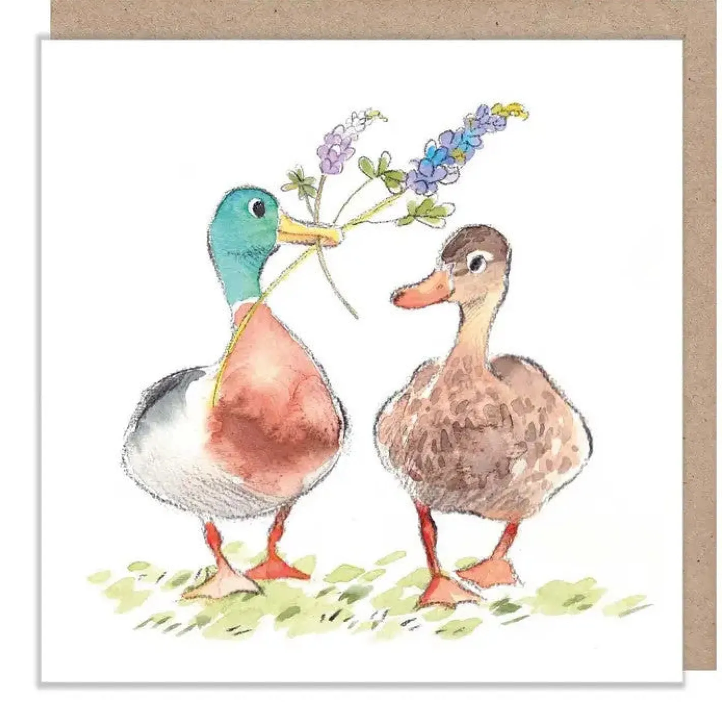 Paper Shed Design Mallards Greetings Card