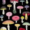 Madame Treacle Many Mushrooms Greetings Card