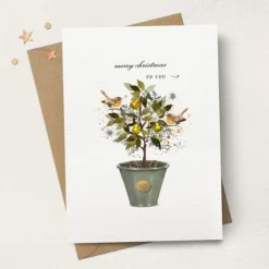 Stephanie Davies Merry Christmas to You Plant Pot Greeting Card