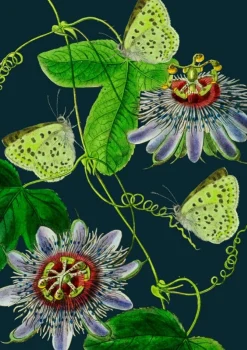 Madame Treacle Midnight Passion Flower Card