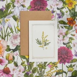 Catherine Lewis Mimosa - 'Botanical Archive: Everyday Edition' - card