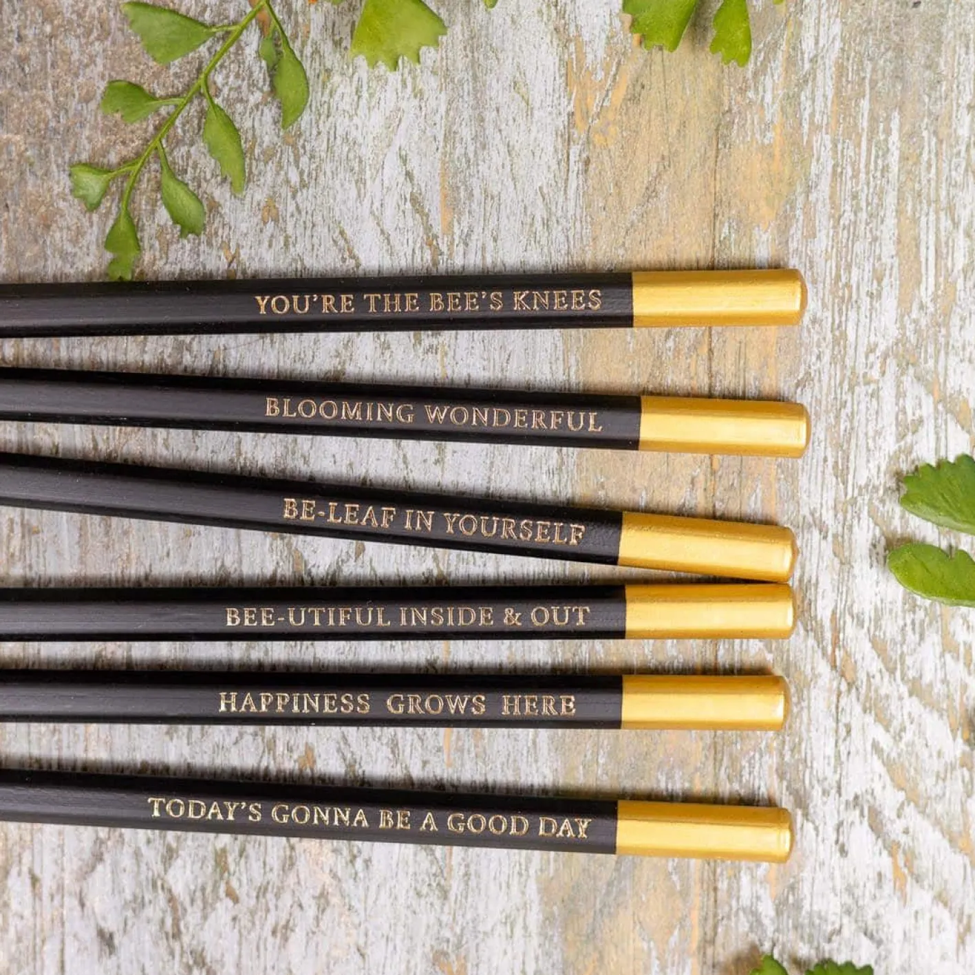 Toasted Crumpet Mulberry Set of 6 Pencils