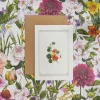 Catherine Lewis Nasturtium - 'Botanical Archive: Everyday Edition' - card