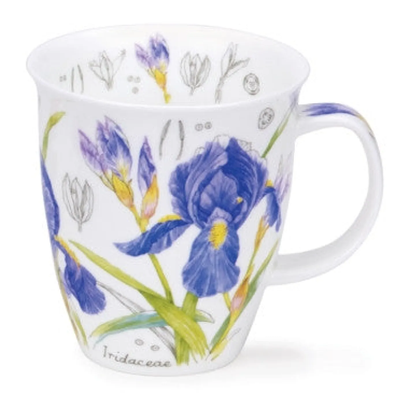 Dunoon Nevis Floral Sketch Mugs