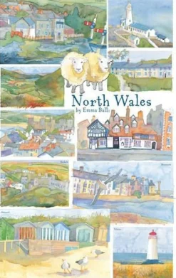 Emma Ball North Wales by Tea Towel