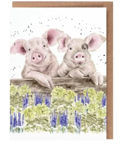 Wrendale Designs 'Nosy Neigh-boars' Pig Greetings Card