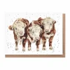 Wrendale Designs 'Paddy, Percy and Pedro' Cows Greetings Card