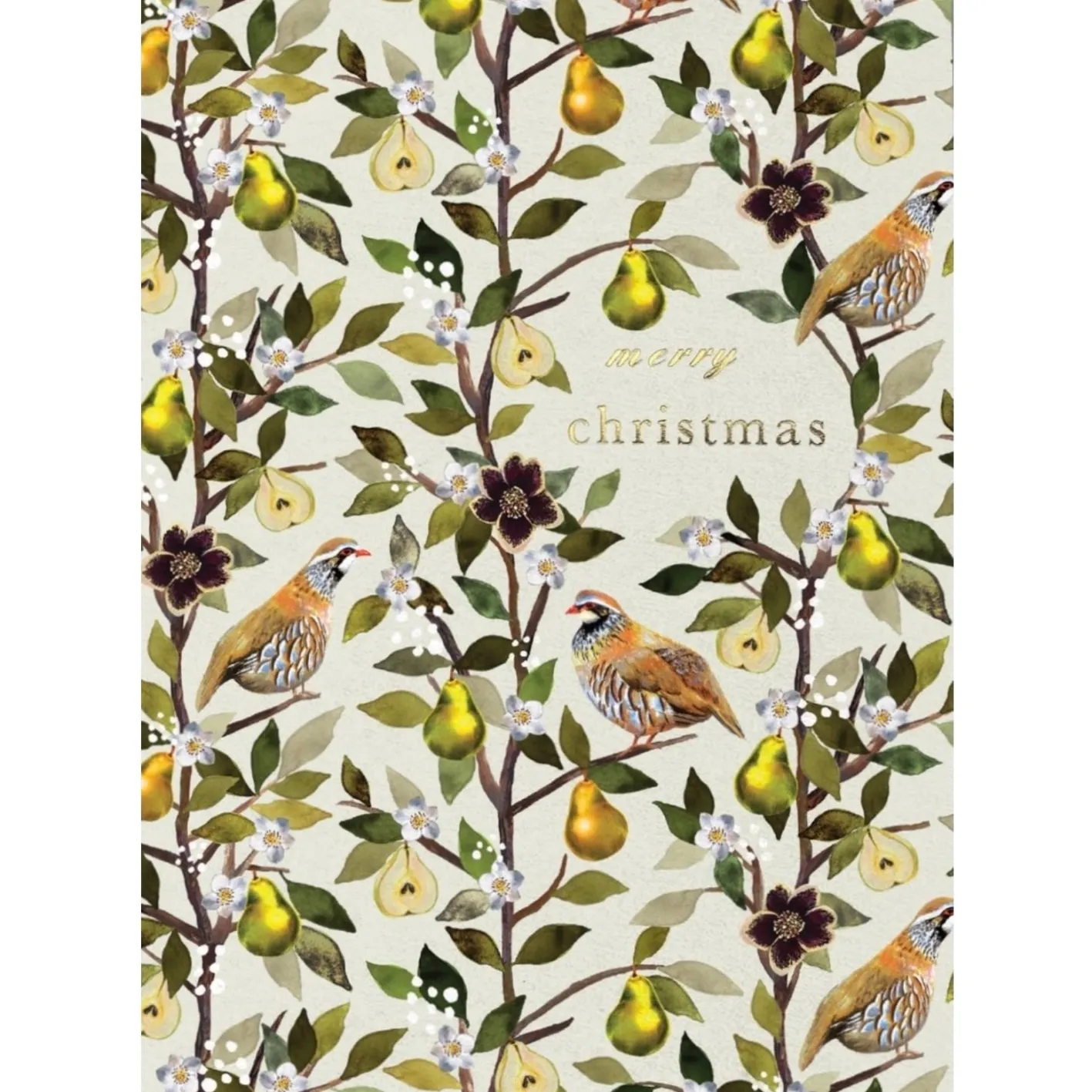 Stephanie Davies Partridge in a Pear Tree Greeting Card