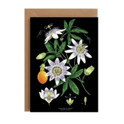 Catherine Lewis Passion Flower - Black - Greetings Card