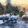 All Jigsaw Puzzles Pastures New 500 Piece Jigsaw Puzzle