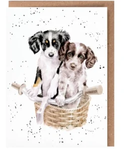 Wrendale Designs 'Paws and Pedals' Dog Greetings Card