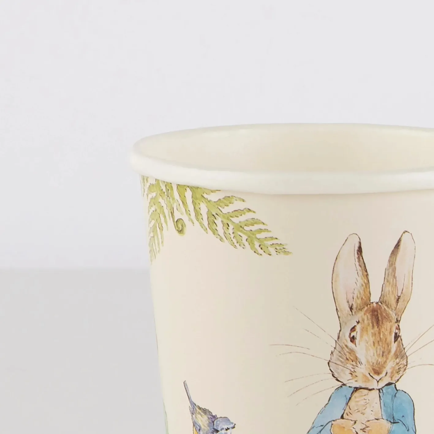 Meri Meri Peter Rabbit In The Garden Cups