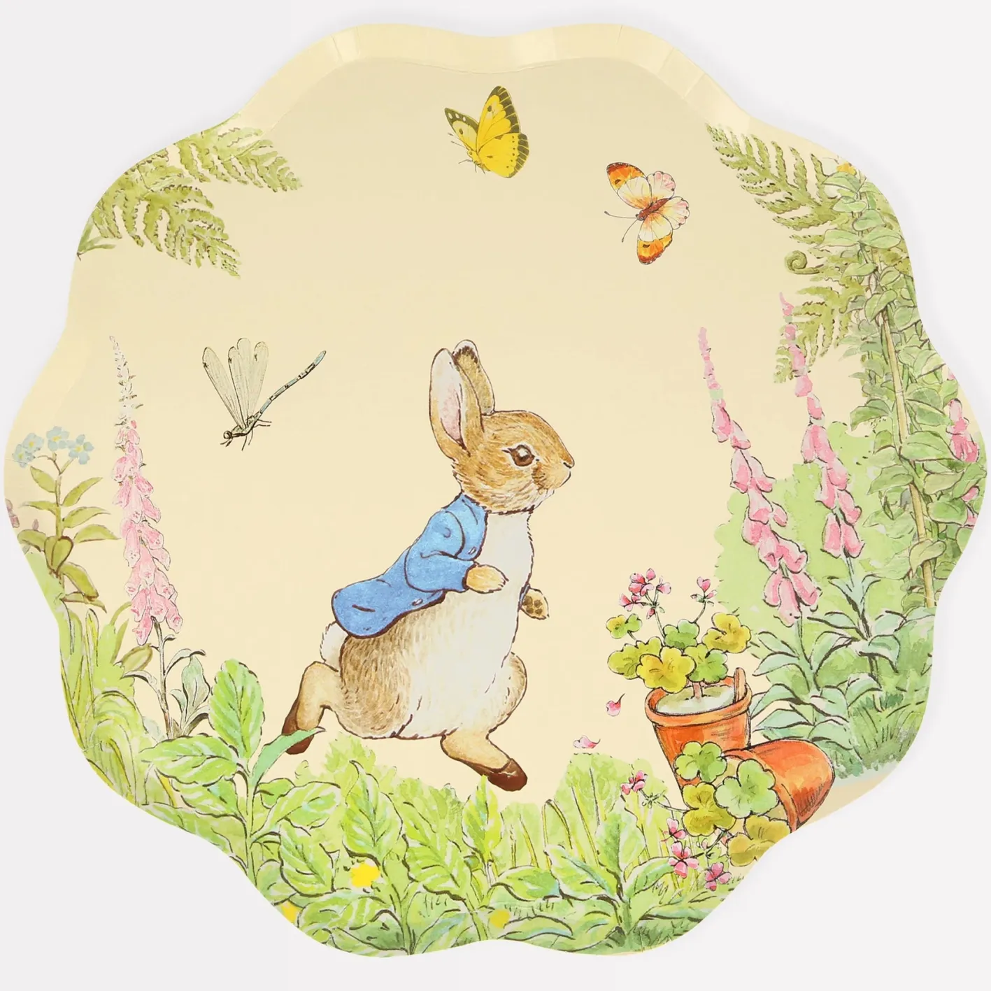 Meri Meri Peter Rabbit In The Garden Dinner Plates