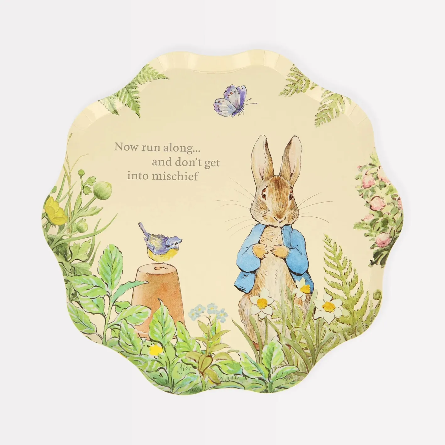 Meri Meri Peter Rabbit In The Garden Side Plates