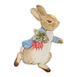Meri Meri Peter Rabbit Paper Plates