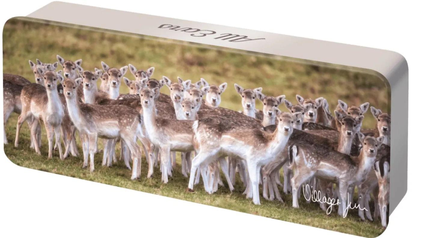 Dean's of Huntley Shortbread "All Ears" All Butter Shortbread Squares 150g