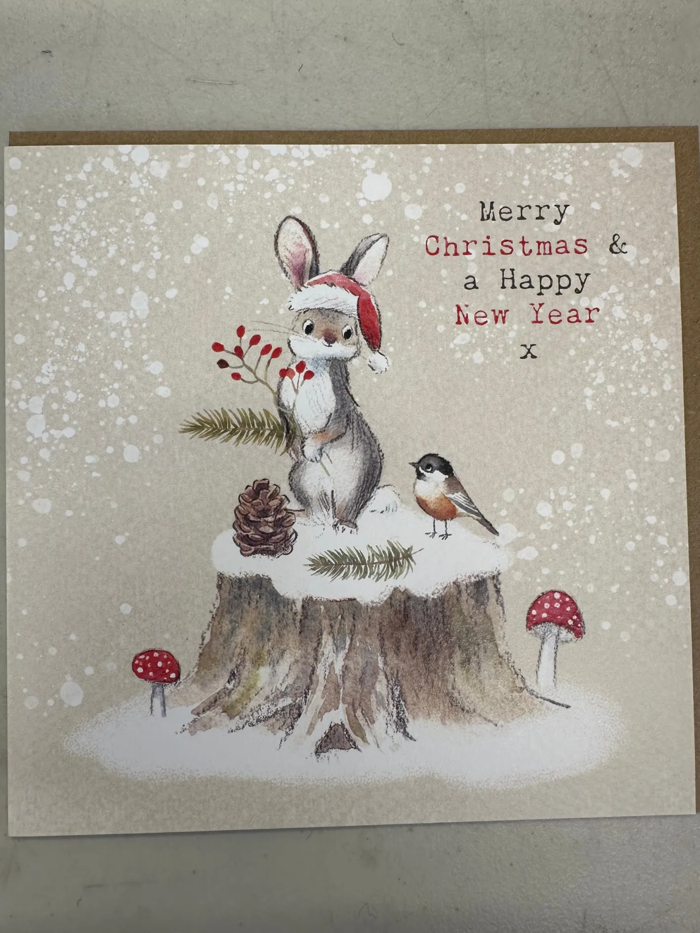 Paper Shed Design Rabbit and Bird Christmas Card