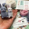Bergin & Bath Rabbits Needle Felting Kit