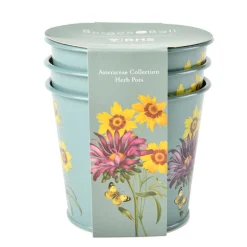Burgon & Ball RHS Asteraceae Set of 3 Herb pots